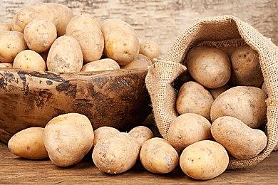 日本8大游戏厂商 已有5家股价创历史新高